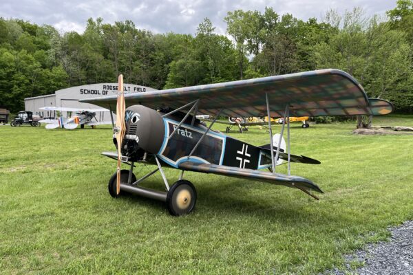 A picture of a Fokker D.VI sitting on the grass
